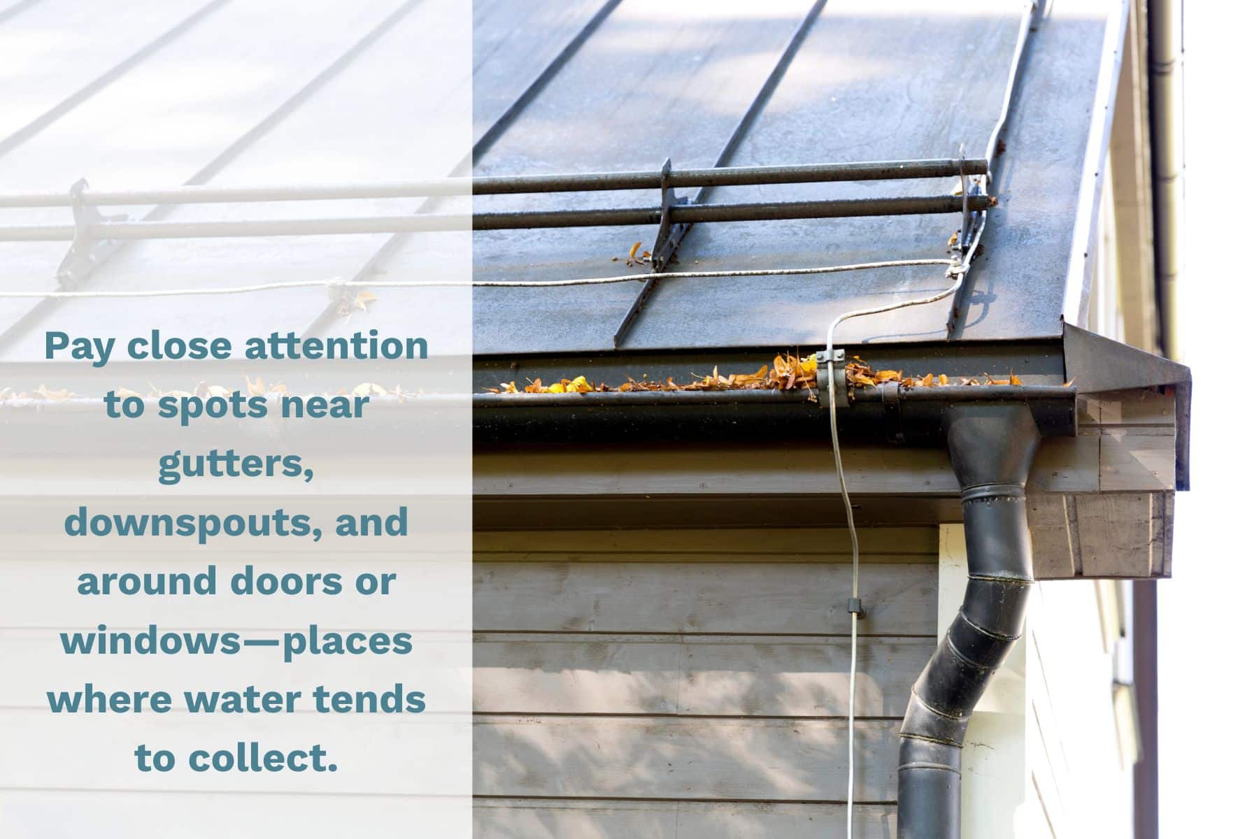 Pay close attention to spots near gutters, downspouts, and around doors or windows - places where water tends to collect.