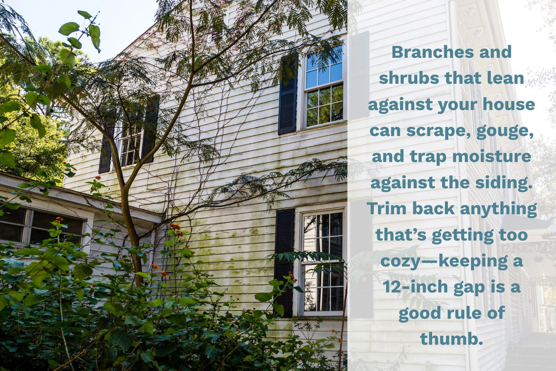 Branches and shrubs that lean against your house can scrape, gouge, and trap moisture against the siding. Trim back anything that's getting too cozy - keeping a 12-inch gap is a good rule of thumb.