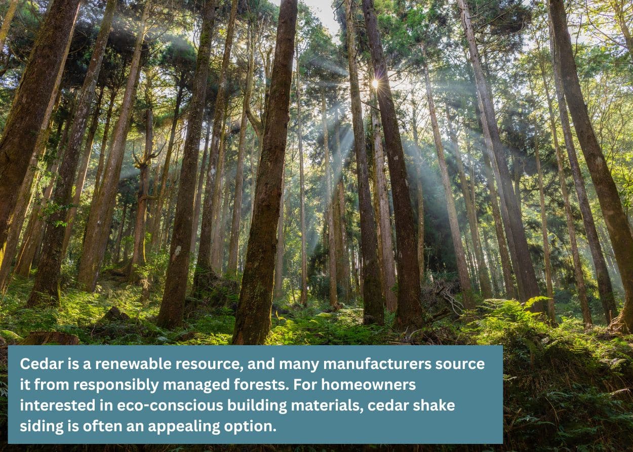 Sunlight filtering through a forest, representing cedar shake shingles as an eco-conscious building material. Caption: Cedar is a renewable resource, and many manufacturers source it from responsibly managed forests. For homeowners interested in eco-conscious building materials, cedar shake siding is often an appealing option.